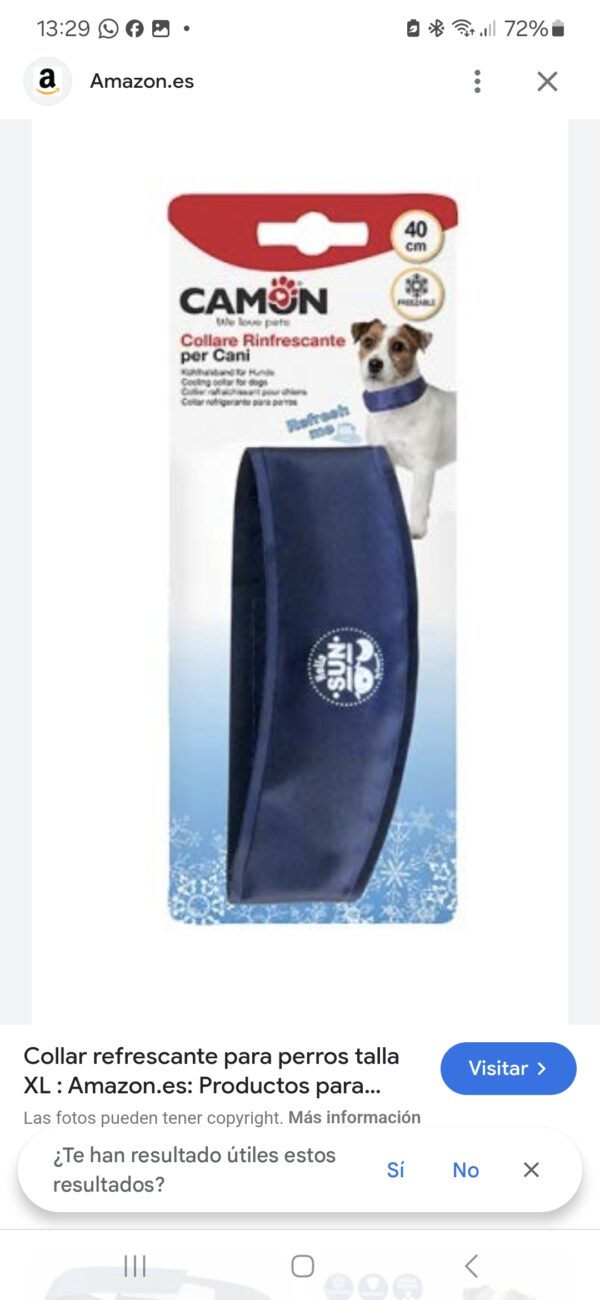 COLLAR REFRESCANTE PERROS CAMON 40 cm
