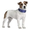 COLLAR REFRESCANTE PERROS CAMON 40 cm - Imagen 4