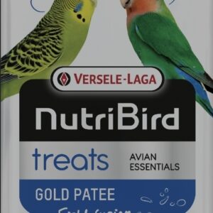 Gold Patee Periquitos