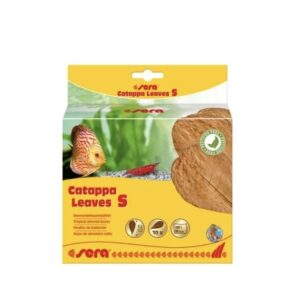 HOJAS DE SERA CATAPPA S 10-15CM