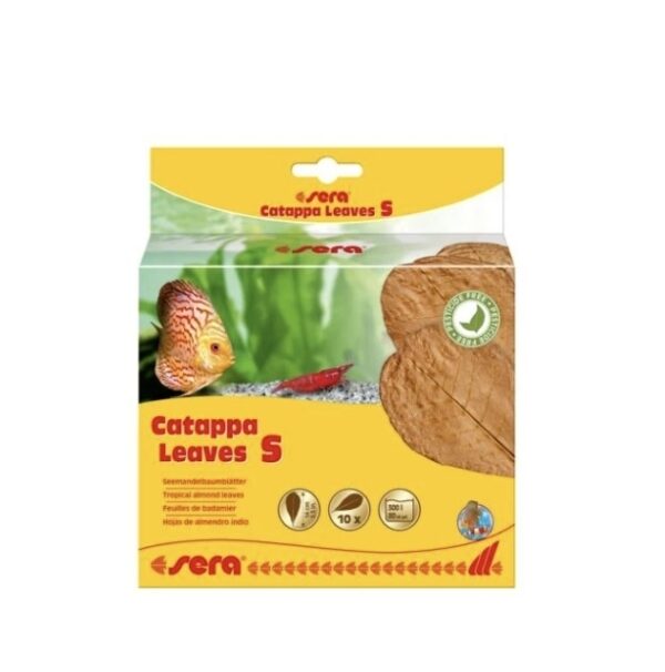 HOJAS DE SERA CATAPPA S 10-15CM