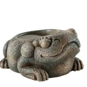 Exo Terra Bebedero Azteca Frog