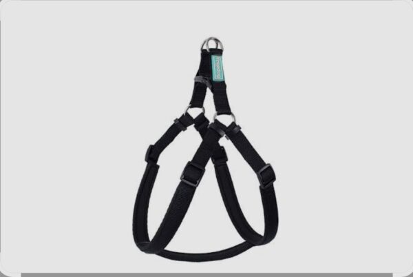 Freedog Arnés Nylon Basic Tipo A Negro 10mm × 20/36cm