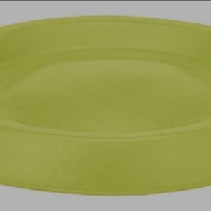 Frisbee Foamy para Perro