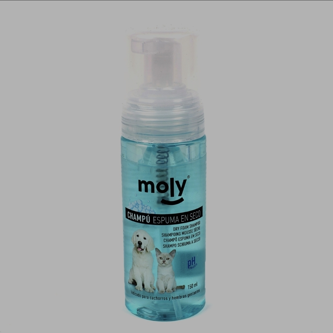 CHAMPU ESPUMA EN SECO 150ml moly